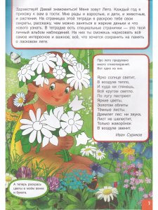 Вспоминаем лето! Учимся видеть и понимать