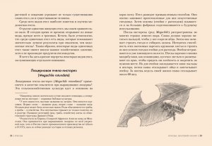 Книга Пчелы. Что человек и пчела значат друг для друга