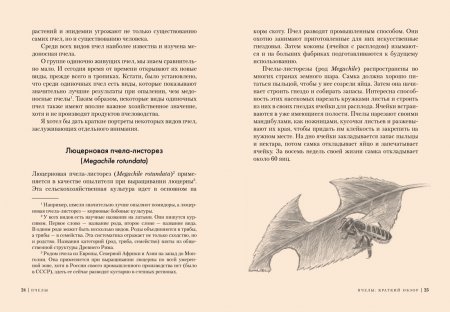 Пчелы. Что человек и пчела значат друг для друга