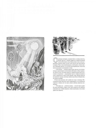 Книга Всё о Муми-троллях. Книга 1 (нов.перевод)