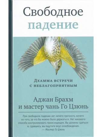 Свободное падение. Дхамма встречи с неблагоприятным