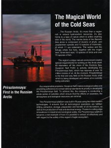 Nhe Magical World of the Cold Seas