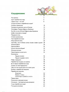 Мы живем в каменном веке: энциклопедия для детей