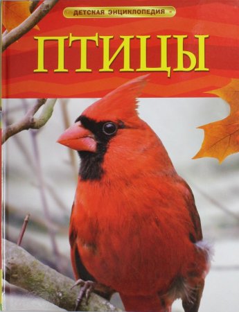 Птицы.