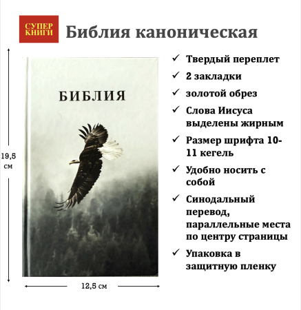 Библия 048 код 25048-55 дизайн, цветная печать"орел", твердый пер.,