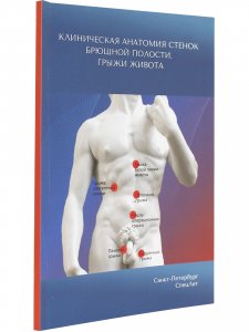 Клиническая анатомия стенок брюшной полости.Грыжи живота