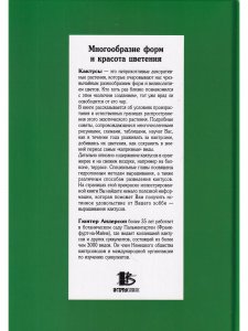 Кактусы в нашем доме