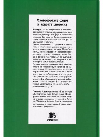 Кактусы в нашем доме