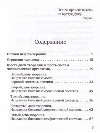 Нефеш-терапия. Библейская система исцеления
