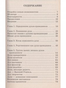 Духи, Ангелы и Гиды