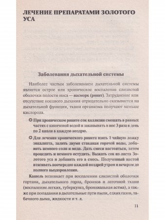 Золотой ус 110 новых рецептов
