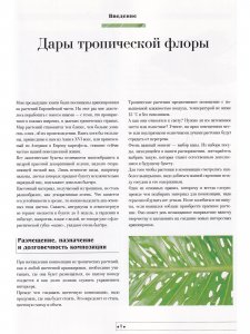 Экзотические букеты: Композиции из цветов, плодов и декоративной зелени тропических растений