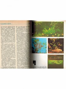 Книга Занимательный аквариум