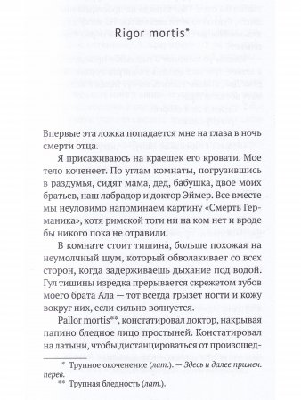 Ложка