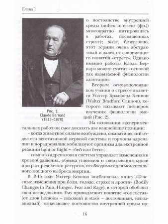 Стресс как форма жизни