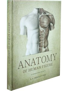 Анатомия фигуры человека (на англ.яз.) 