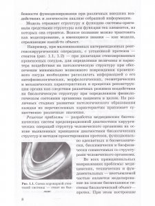 Биомеханическое моделирование объектов протезирования