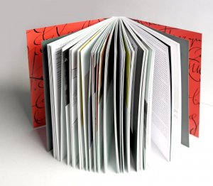 Художник книги Лев Збарский
