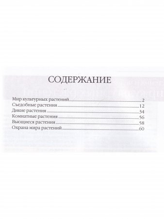 Растения и человек
