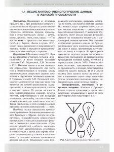 Клиническая анатомия женской промежности