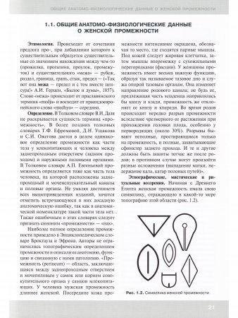 Клиническая анатомия женской промежности