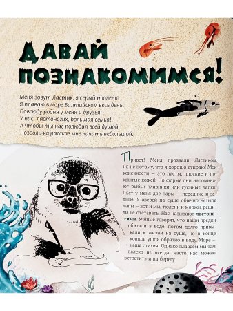 Тюлень Ластик и его друзья