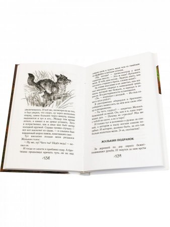Книга Охотничья избушка