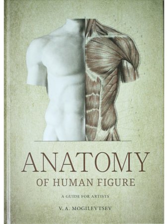 Анатомия фигуры человека (на англ.яз.) 
