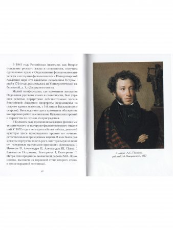 Книга Пушкин и Толстой, "Академические" загадки биографий