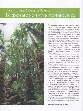 Растительный покров Земли