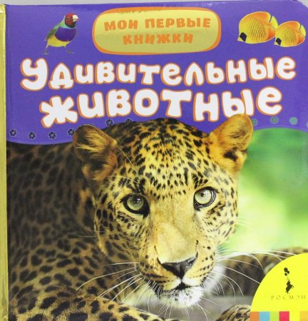 Удивительные животные