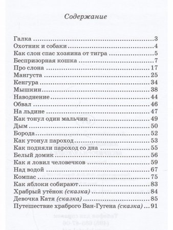 Беспризорная кошка