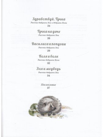 Эля и Медведь