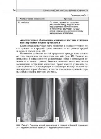 Однажды в шкафу