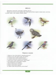Автоматизация в картинках. Звуки [с], [ц], [ш], [ч]: практический тренажер (4-7 лет). Выпуск 1. ФОС