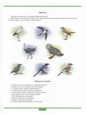Автоматизация в картинках. Звуки [с], [ц], [ш], [ч]: практический тренажер (4-7 лет). Выпуск 1. ФОС