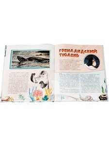 Тюлень Ластик и его друзья