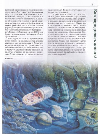 Зарождение жизни