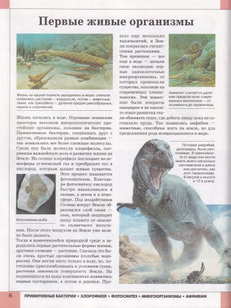 Человек:Вчера,сегодня,завтра