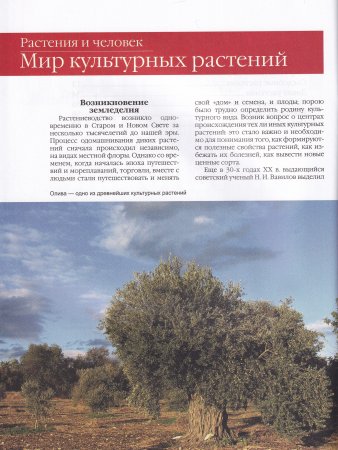 Растения и человек