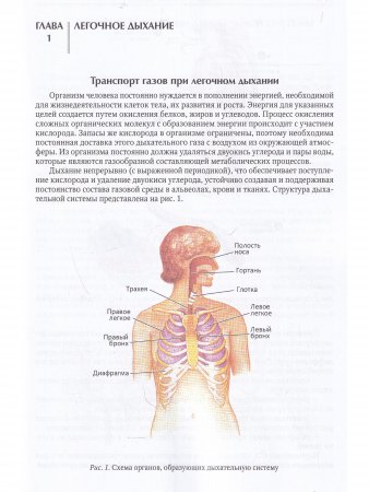 Физиология легочного дыхания.Учебное пособие