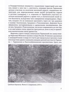 Дачи Тарховки