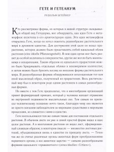 Архитектурная идея Гетеанума