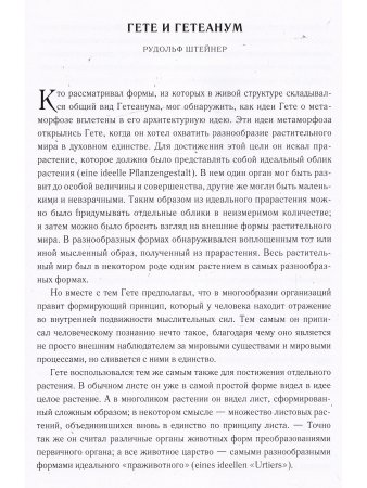 Архитектурная идея Гетеанума