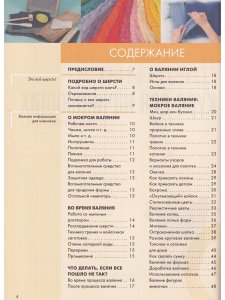 Фелтинг: курс для начинающих. Идеи и проекты