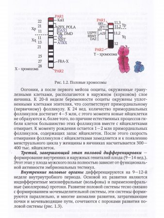 Гинекология. Учебник для студентов медицинских вузов
