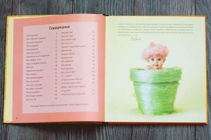 Мои первые пять лет. Книга малыша