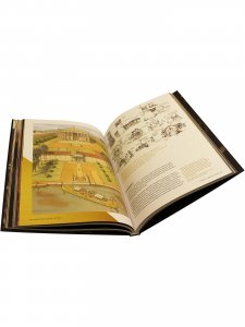 Книга Мир игры Assassins Creed. Black Flag