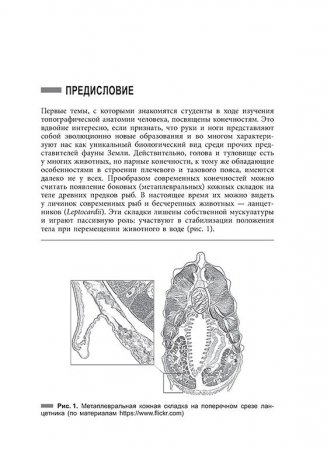 Однажды в шкафу