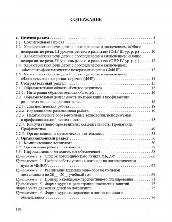Программа коррекции речевых нарушений на логопедическом пункте ДОО для детей 5-7 лет. ФГОС